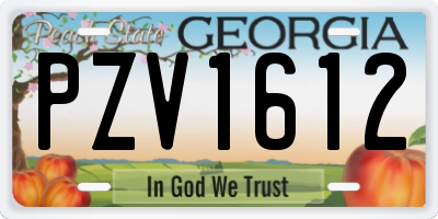 GA license plate PZV1612