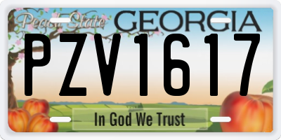 GA license plate PZV1617