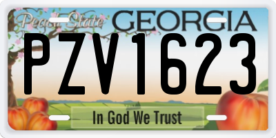 GA license plate PZV1623