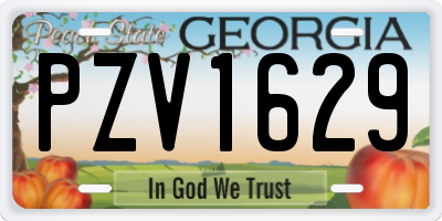 GA license plate PZV1629