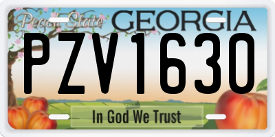 GA license plate PZV1630