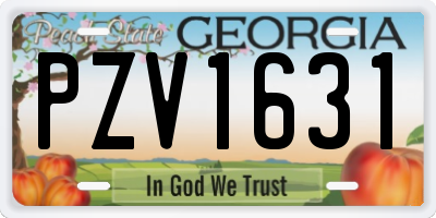 GA license plate PZV1631
