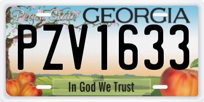 GA license plate PZV1633
