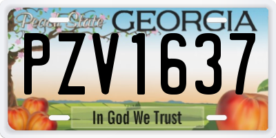 GA license plate PZV1637