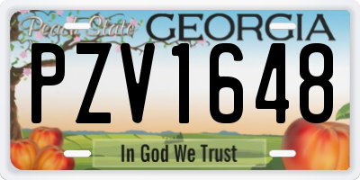 GA license plate PZV1648