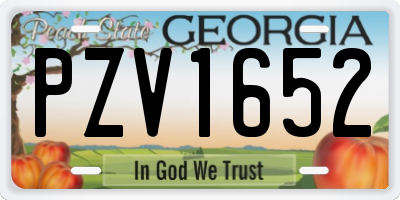 GA license plate PZV1652