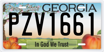 GA license plate PZV1661