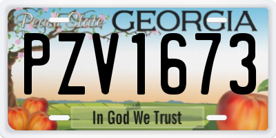 GA license plate PZV1673