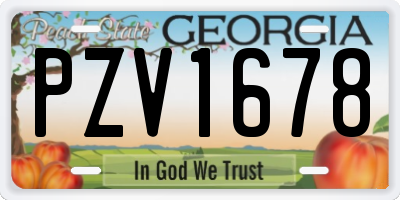 GA license plate PZV1678