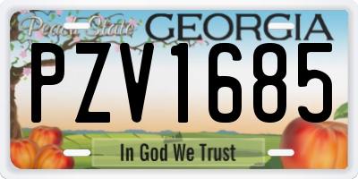 GA license plate PZV1685