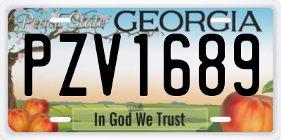 GA license plate PZV1689