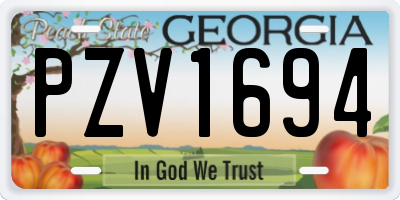 GA license plate PZV1694