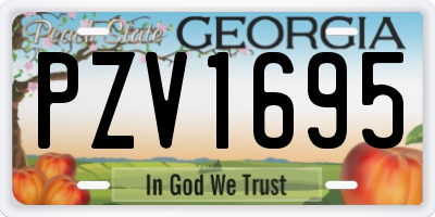 GA license plate PZV1695