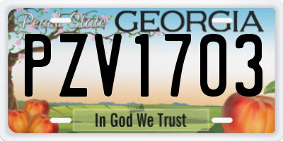 GA license plate PZV1703