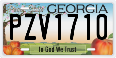 GA license plate PZV1710