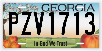 GA license plate PZV1713