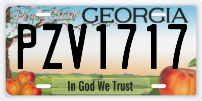 GA license plate PZV1717