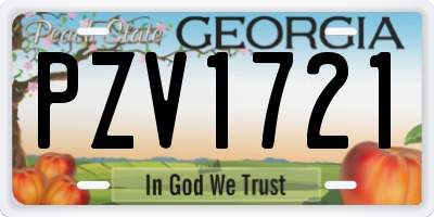 GA license plate PZV1721