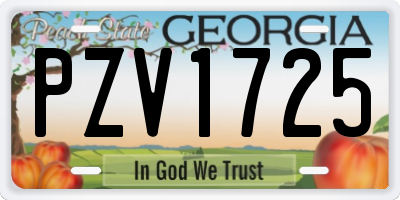 GA license plate PZV1725