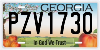 GA license plate PZV1730