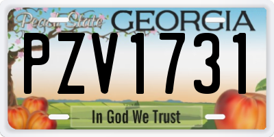 GA license plate PZV1731