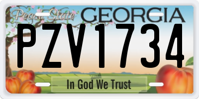 GA license plate PZV1734