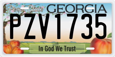 GA license plate PZV1735