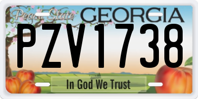 GA license plate PZV1738