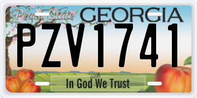 GA license plate PZV1741