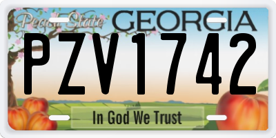 GA license plate PZV1742