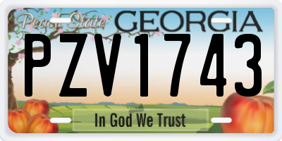 GA license plate PZV1743