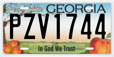 GA license plate PZV1744