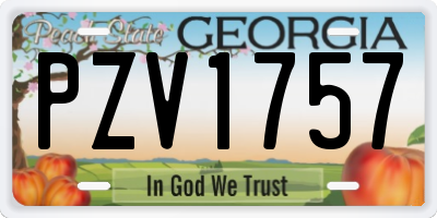 GA license plate PZV1757