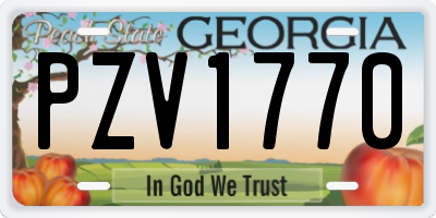 GA license plate PZV1770