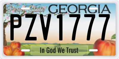 GA license plate PZV1777
