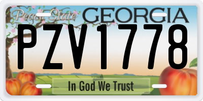 GA license plate PZV1778