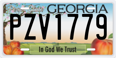 GA license plate PZV1779