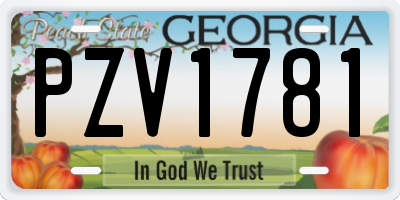 GA license plate PZV1781