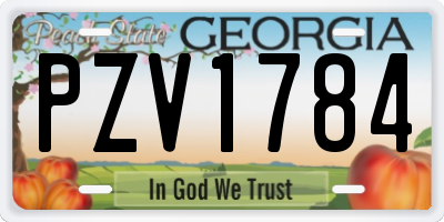 GA license plate PZV1784