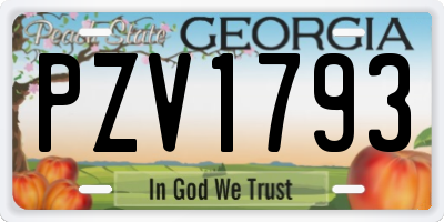 GA license plate PZV1793