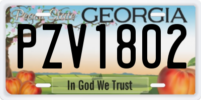 GA license plate PZV1802