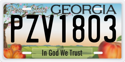 GA license plate PZV1803