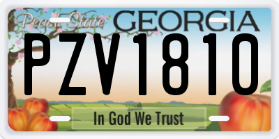 GA license plate PZV1810