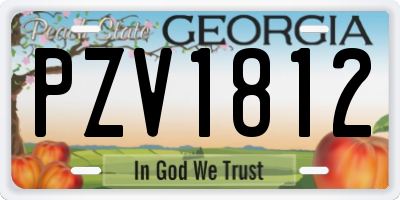 GA license plate PZV1812