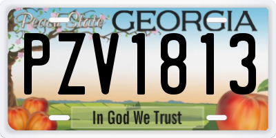 GA license plate PZV1813