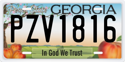 GA license plate PZV1816