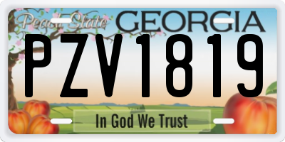 GA license plate PZV1819