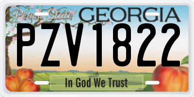 GA license plate PZV1822
