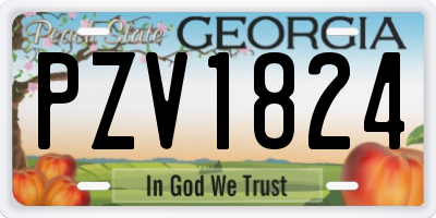 GA license plate PZV1824