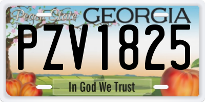 GA license plate PZV1825
